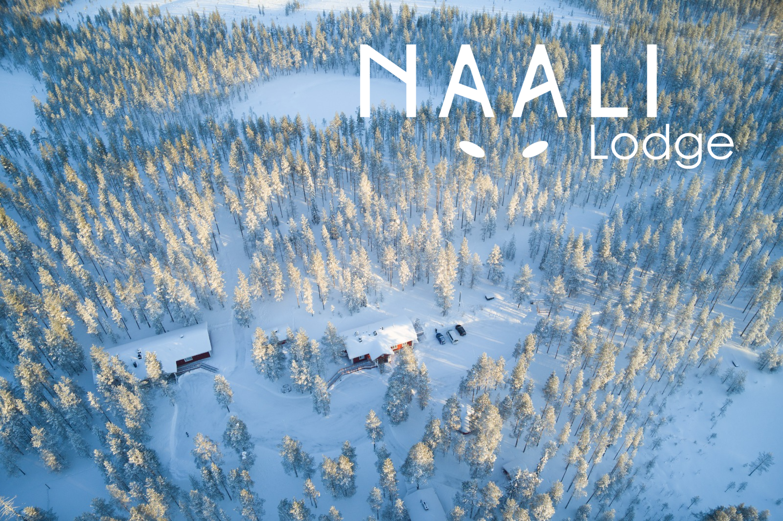 Logo Naali Lodge